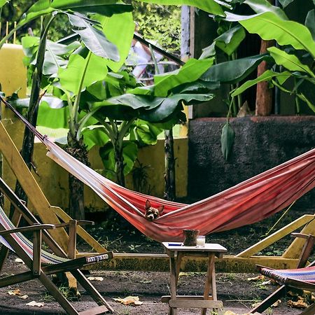 Hostel Life Is Good Мойогалпа Екстериор снимка