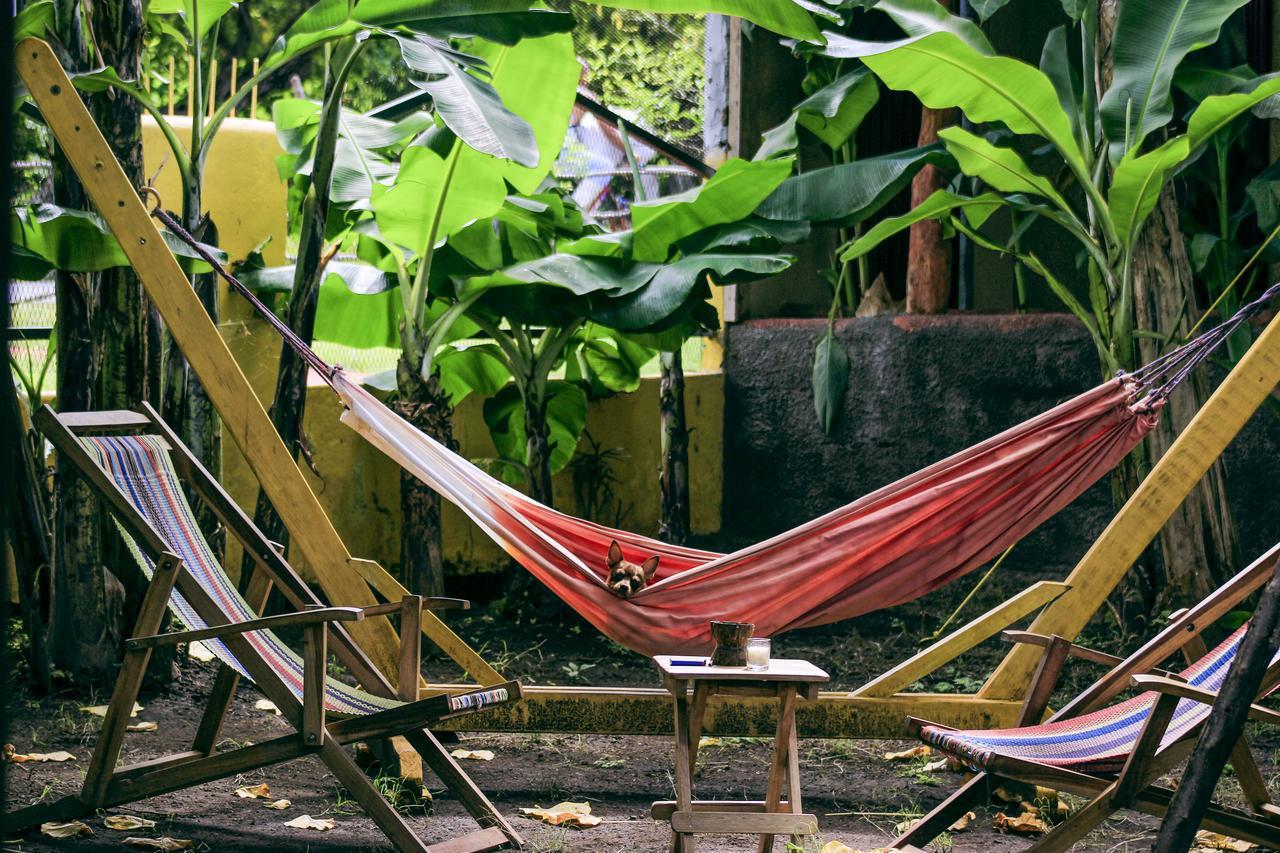 Hostel Life Is Good Мойогалпа Екстериор снимка
